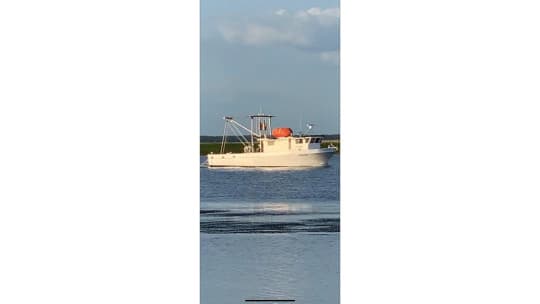 1976 STAPLETON 58 SHRIMPER/LONG LINER