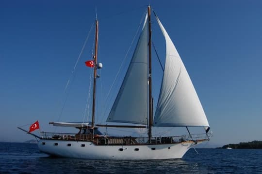 19 M MOTORSAILOR
