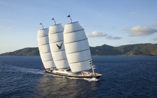 Maltese Falcon