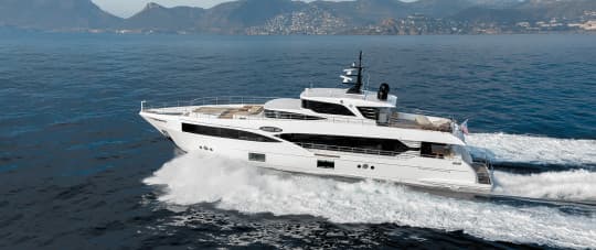 Majesty 100